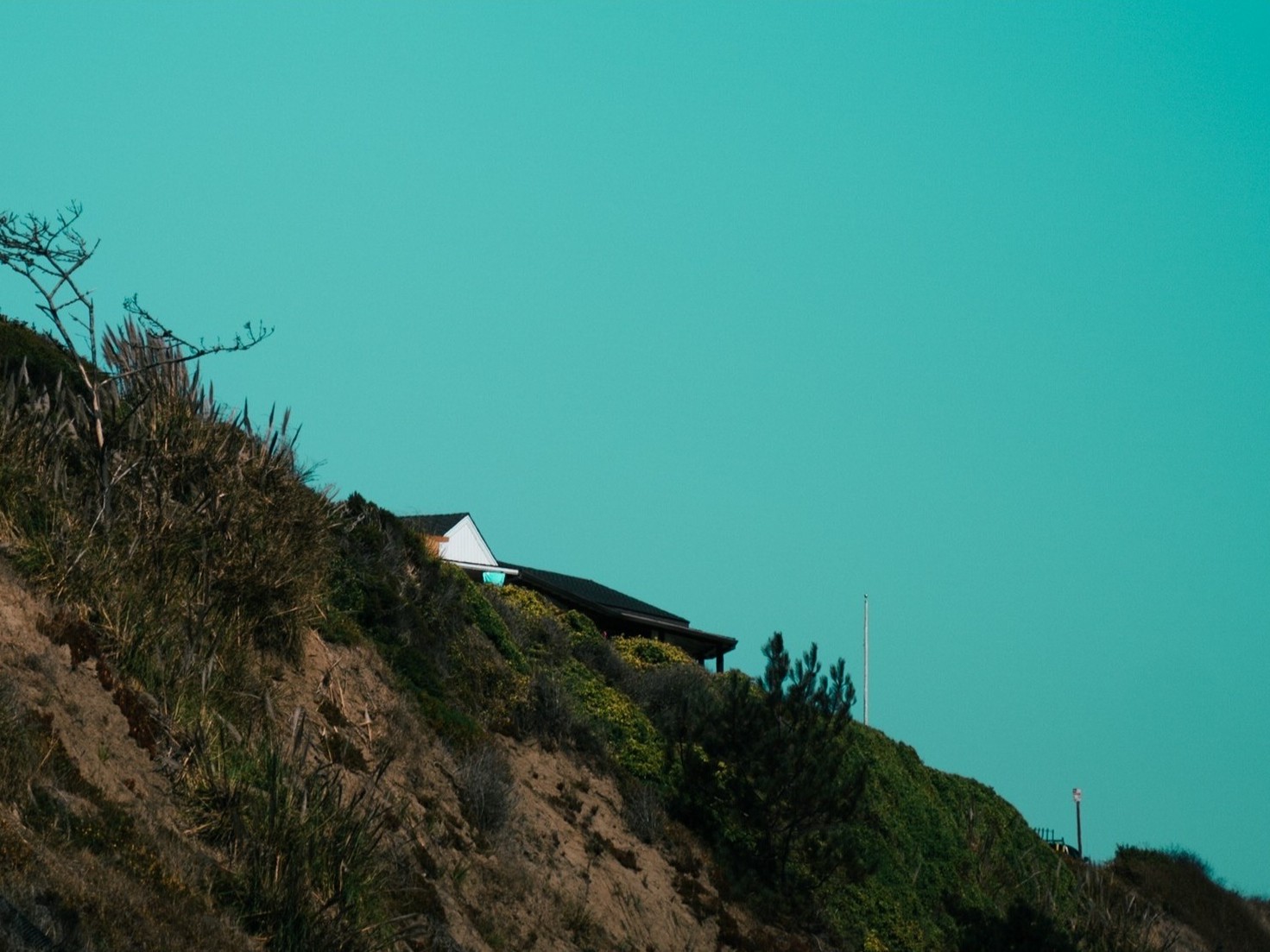 photography - santa cruz