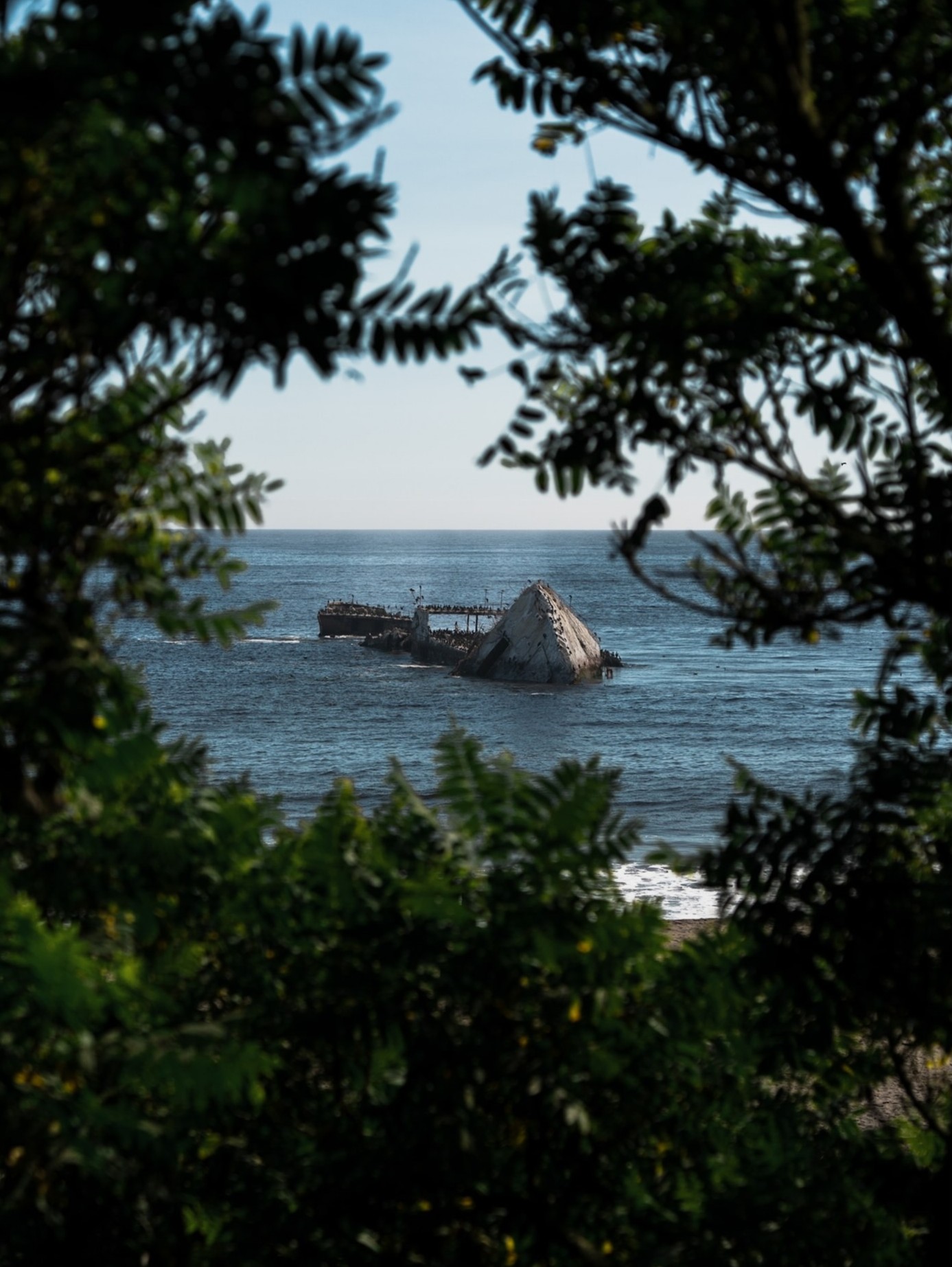 photography - santa cruz